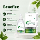 chlorophyll-drops-liquid-for-drinking-30-81Vmn6iVAML.jpg