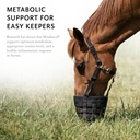 metabarol-horse-supplement-pellets-with--4.jpg