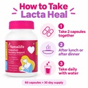 mamalife-lacta-heal-postpartum-multivita-61awWUqK91L.jpg