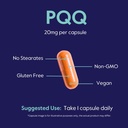 bestvite-pqq-20mg-pyrroloquinoline-quino-5.jpg