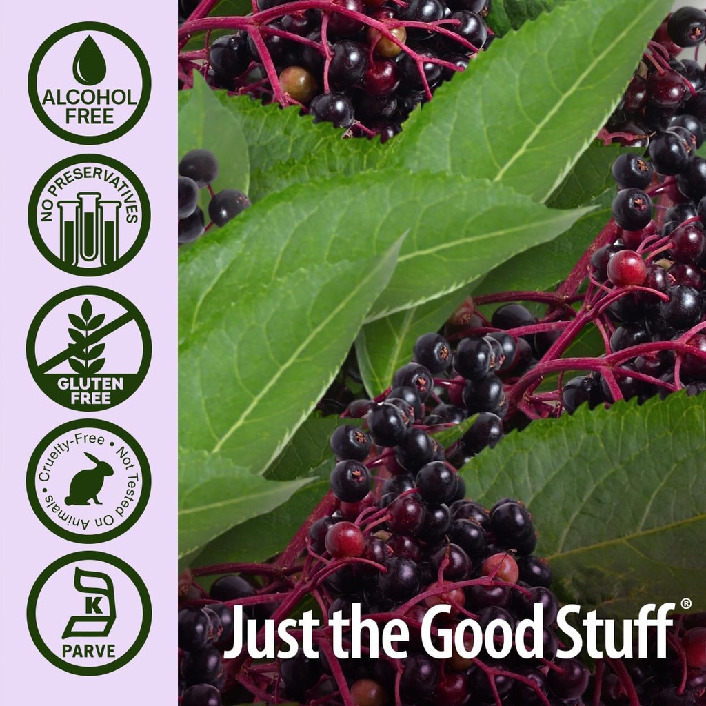 natures-answer-sambucus-spray-supports-a-5.jpg