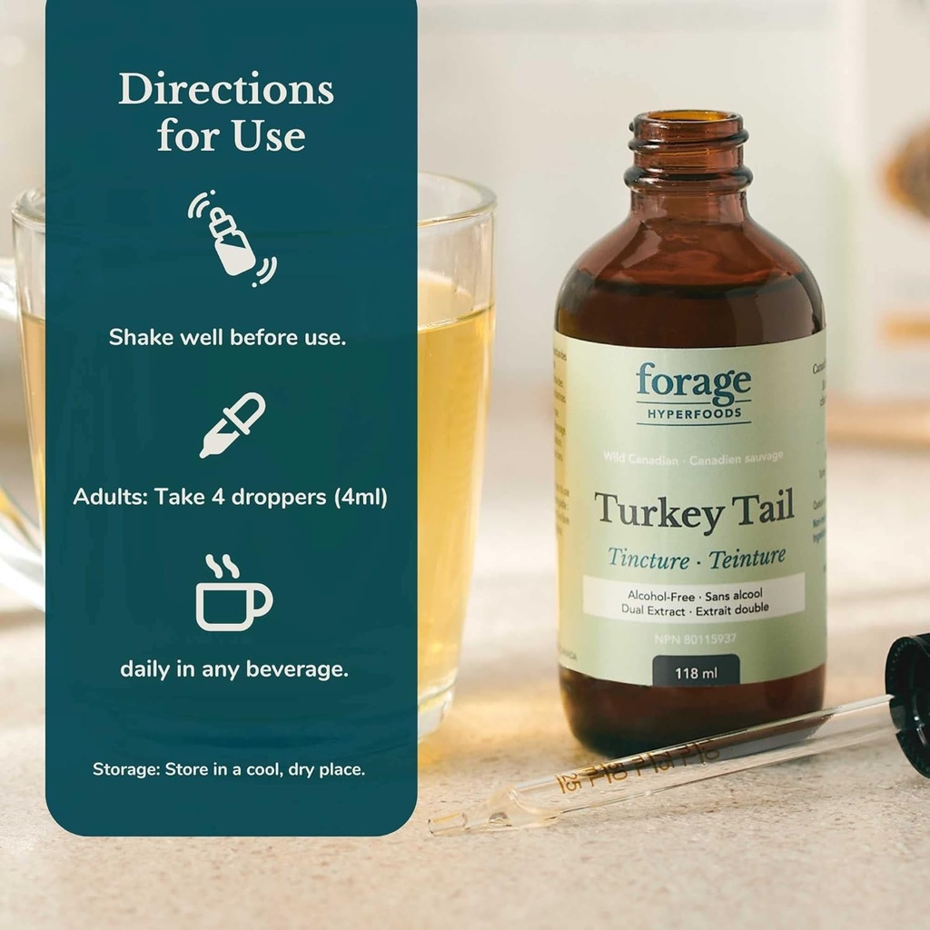 forage-hyperfoods--alcohol-free-canadian-2.jpg