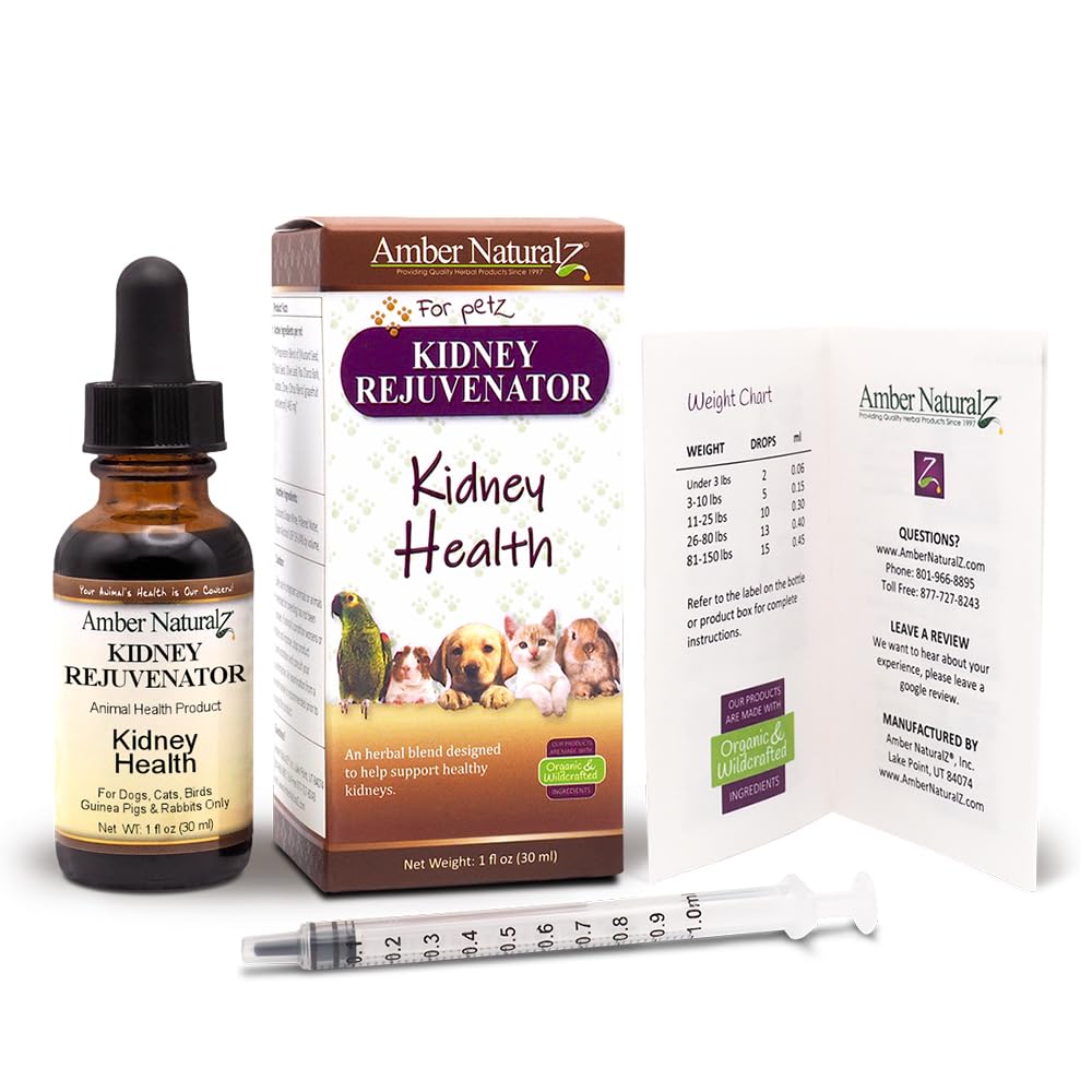 amber-naturalz-kidney-rejuvenator-for-pe-61nLpk1HN4L.jpg