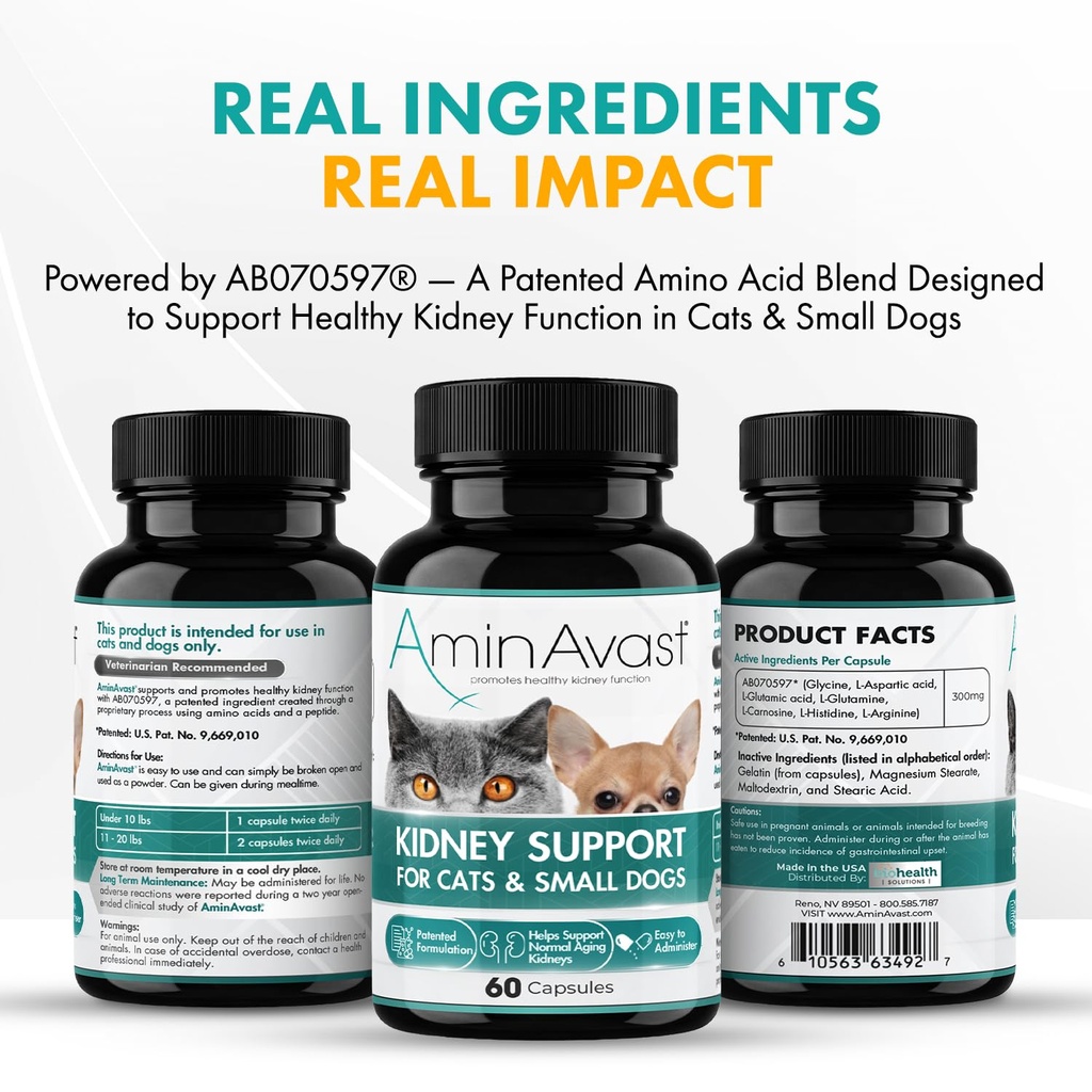 aminavast-cat-small-dog-kidney-support-3-71RbcwdbcZL.jpg