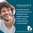 bestvite-vitamin-b-2-riboflavin-100mg-24-61nG3vKZmmL.jpg