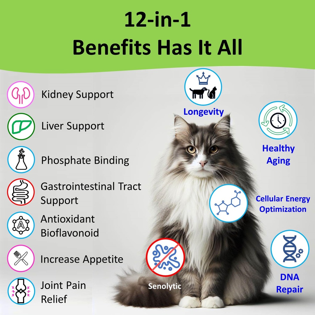 12-in-1-kidney-support-for-dog-cat-with--81YRmmfVmpL.jpg