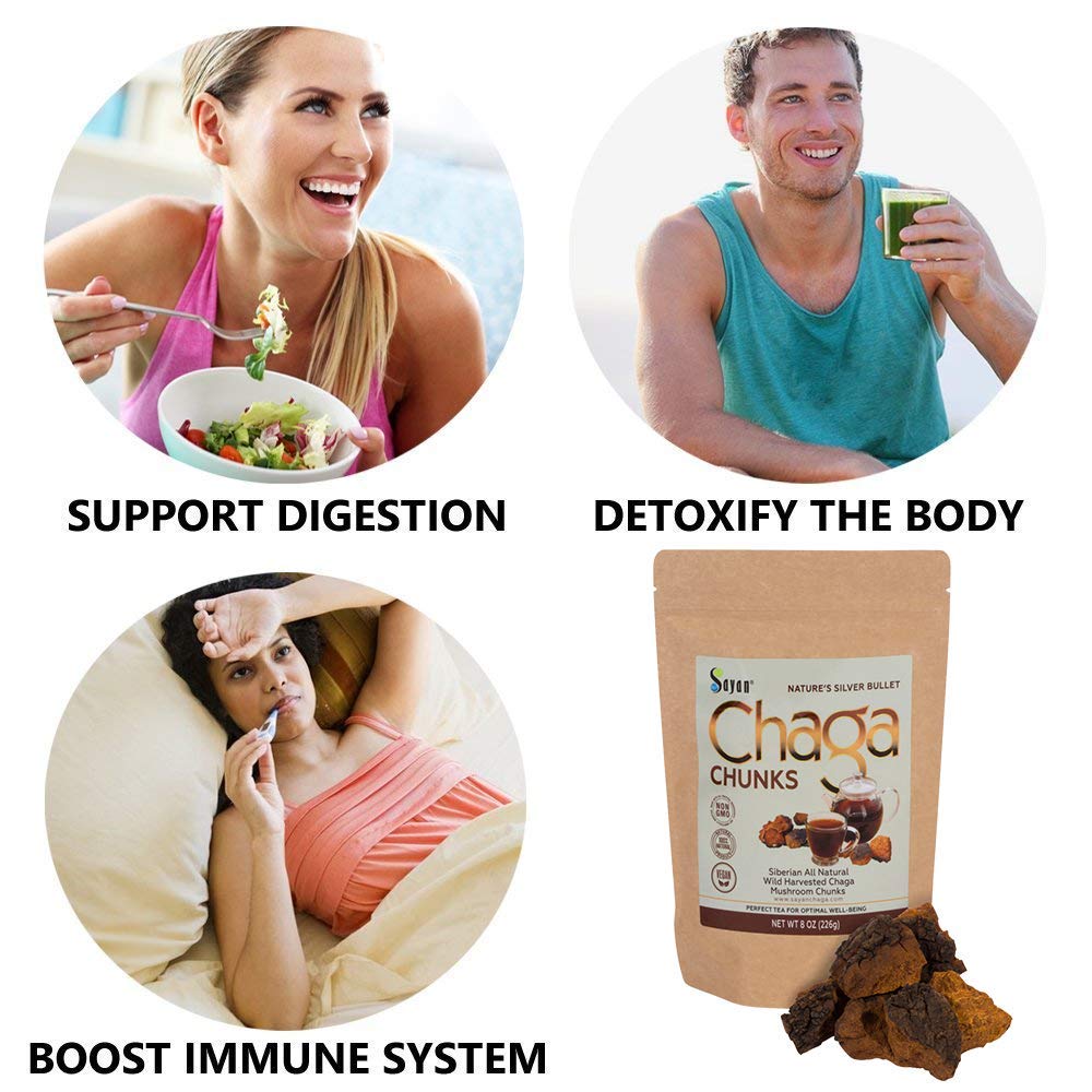 chaga-mushroom-chunks-8-oz-raw-dried-wil-61K3sLhRH3L.jpg