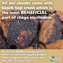 chaga-mushroom-chunks-8-oz-raw-dried-wil-71SeqT6q-xL.jpg