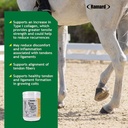 ramard-total-tendon-repair-advanced-powd-81B+xSWzO-L.jpg