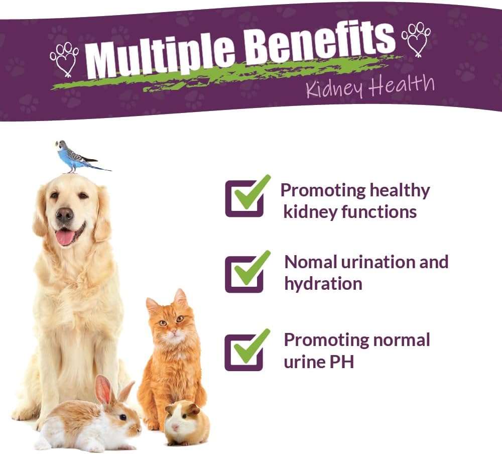 amber-naturalz-kidney-rejuvenator-herbal-2.jpg