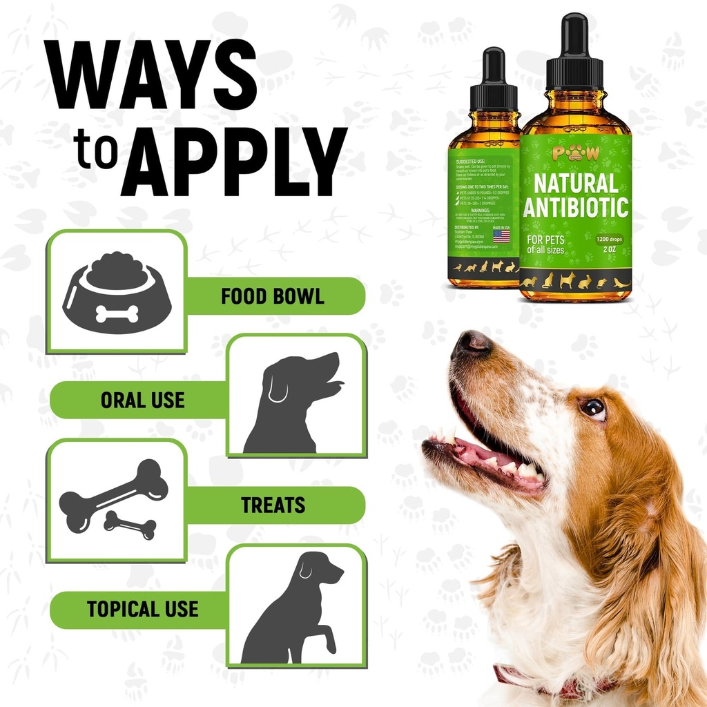 dog-antibiotics-for-infections-kennel-co-81lluu08JxL.jpg