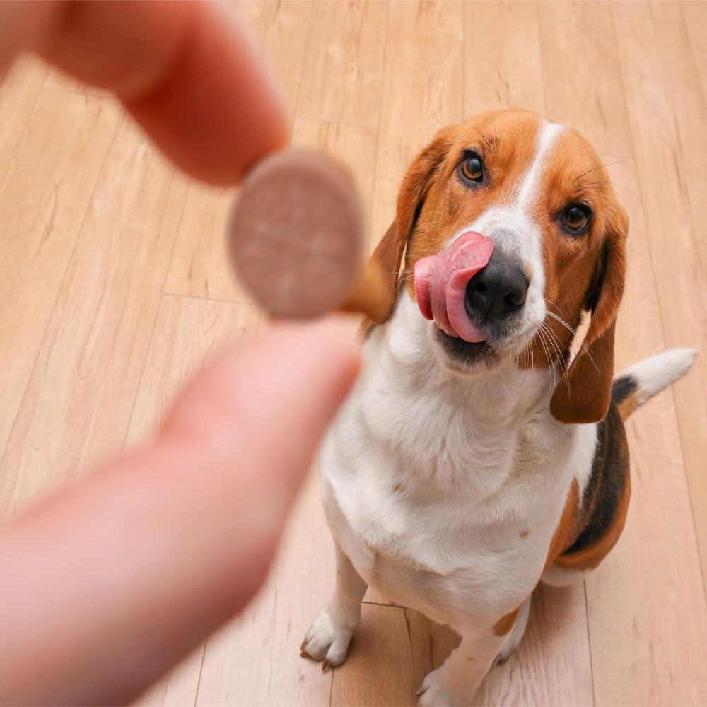 potassium-supplement-for-dogs-and-cats-3-3.jpg