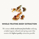 reishi-mushroom-tincture-supplement---du-3.jpg
