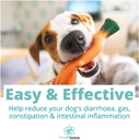 approx-120-servings-of-dog-probiotic-pow-4.jpg