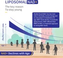 800mg-liposomal-nad-with-tmg-300mg-actua-6.jpg