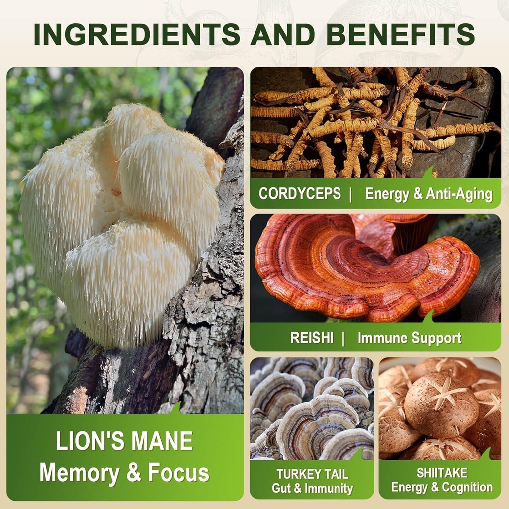 lions-mane-supplement-capsules---mushroo-5.jpg