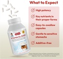 andrew-lessman-vitamin-d3-10000-iu-360-c-4.jpg