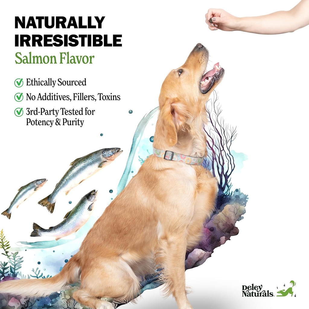 deley-naturals-skin-coat-chews---dog-all-4.jpg