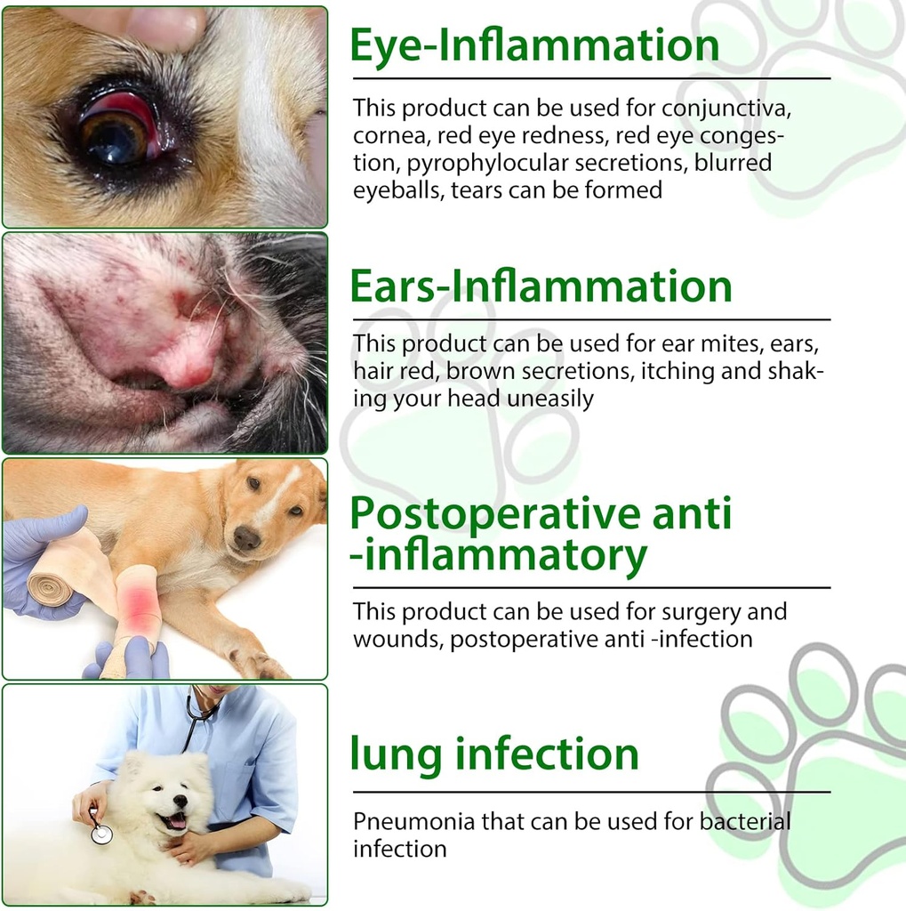 generic-antibiotics-for-dogs-dog-antibio-4.jpg