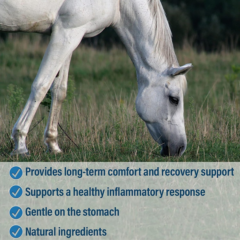 absorbine-bute-less-long-term-horse-comf-5.jpg