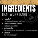 animal-tnt-test-booster-prostate-stress--4.jpg