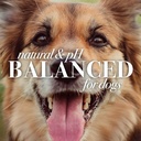 burts-bees-for-pets-tear-stain-remover-f-6.jpg