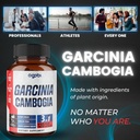 agobi-3in1-garcinia-cambogia-extract-cap-5.jpg