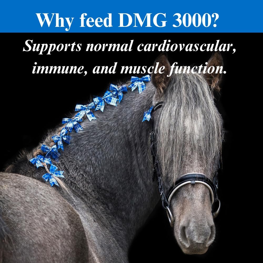 su-per-dmg-3000-horse-supplement---train-4.jpg