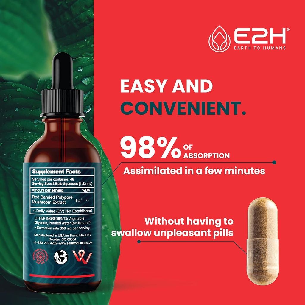 e2h-red-banded-polypore-extract---mushro-4.jpg
