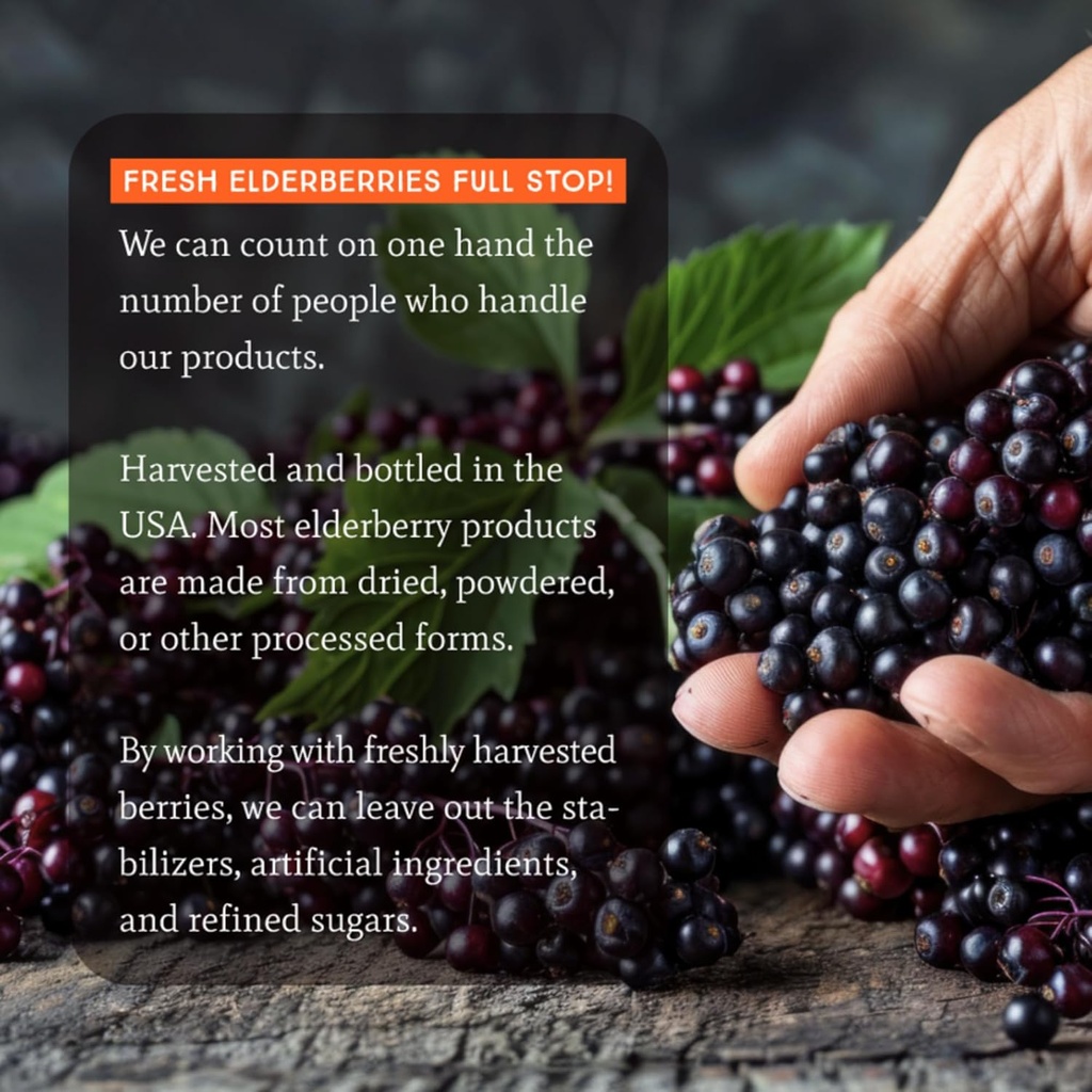 dr-appleseeds-organic-elderberry-syrup-m-6.jpg