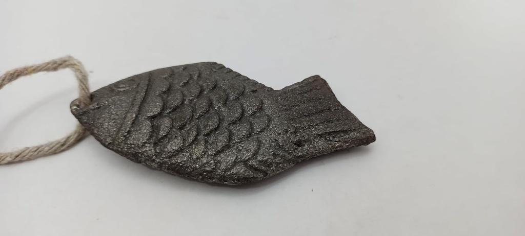 iron-fish-2-pack-fish-for-deficiency-a-n-6.jpg
