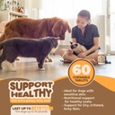 skin-and-coat-supplement-with-fish-oil-a-4.jpg