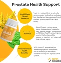 urolo-q-extra-strength-prostate-support--3.jpg