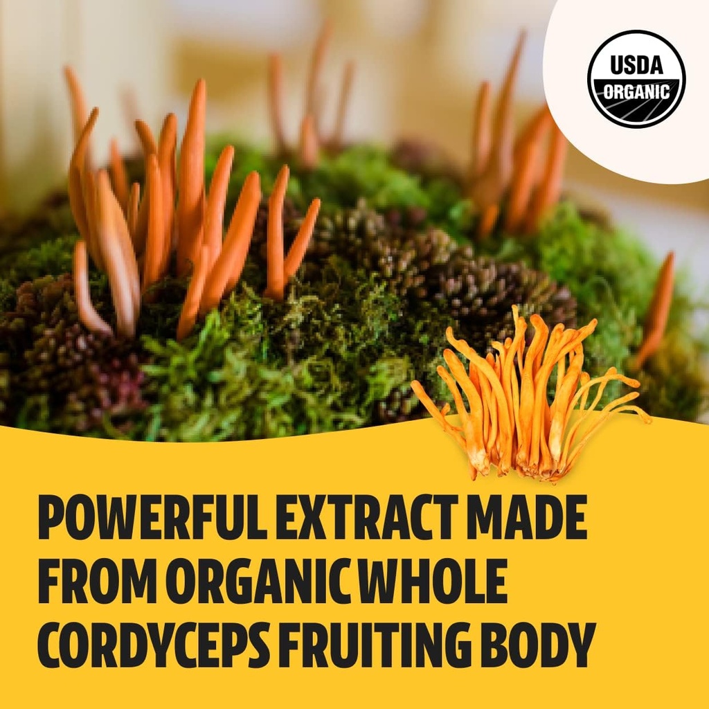 freshcap-mushrooms-energy-bundle-cordyce-5.jpg