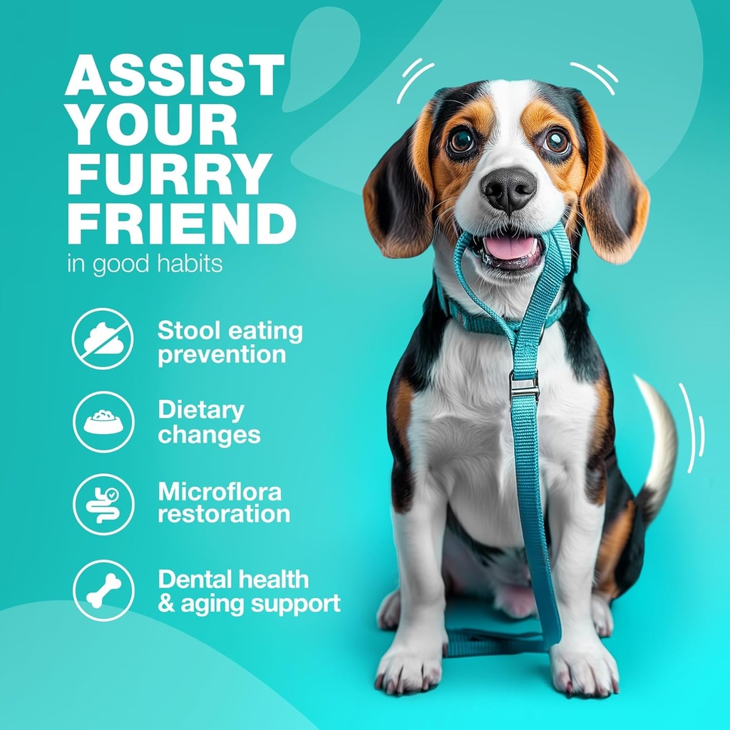 no-poo-chewables-for-dogs---probiotics-f-3.jpg