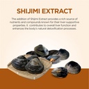fine-japan-liver-md-clinical-strength-li-3.jpg