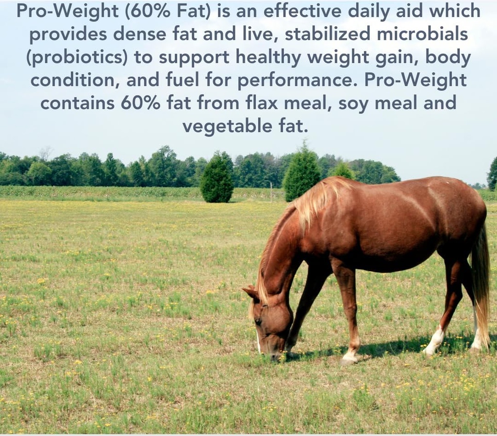 pro-weight-10lb-for-healthy-weight-gain--3.jpg