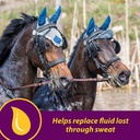 farnam-horse-health-apple-dex-apple-flav-3.jpg