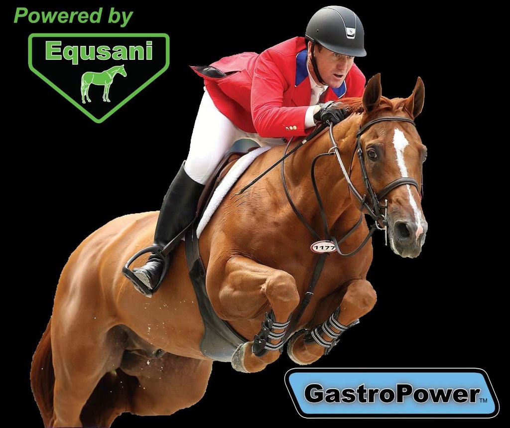 equsani-gastropower-digestible-free-fatt-5.jpg