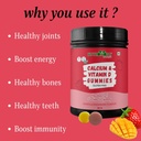 generic-rise-calcium-vitamin-d-vegan-gum-4.jpg
