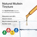 bio-krauter-mullein-tincture-2-fl-oz-mil-4.jpg