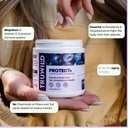 truwild-protect-vegan-immune-support-ant-3.jpg
