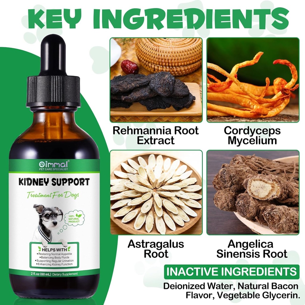 pet-kidney-support-for-dogs-veterinarian-5.jpg