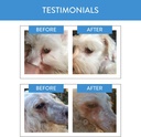 forza10-sensitive-tear-stain-grain-free--6.jpg