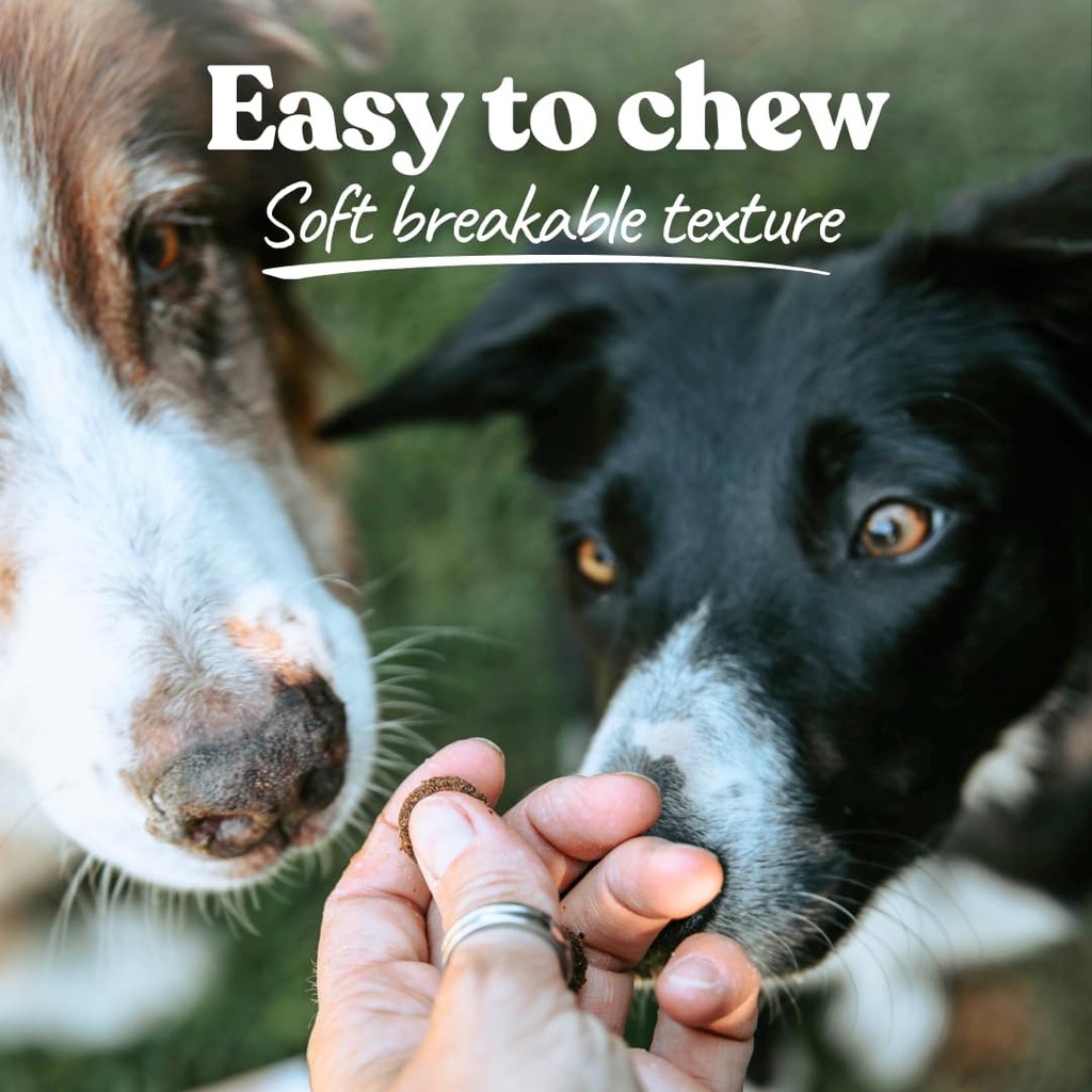 healthybud-turkey-dog-probiotic-chews----6.jpg