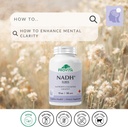 provita-nadh-forte-cognitive-support-sup-2.jpg
