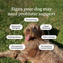 petlab-co---gut-ear-health-bundle-probio-3.jpg