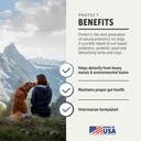 protect-safe-sea-2.jpg