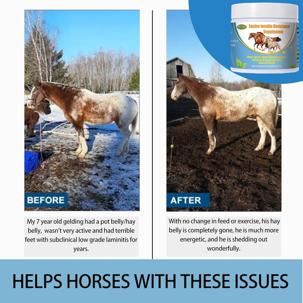insulin-resistance-supplement-for-horses-5.jpg