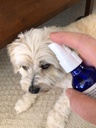 fur---all-natural-liquid-supplement-for--3.jpg